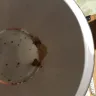 KFC - Chicken and customer service - Photo 2