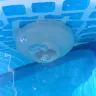 Intex Recreation - Aqua pool cleaner for 18' intex pool - Photo 5