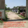 Chas Nagar Nigam, Bokaro, Jharkhand - Chas municipal corporation of chas bokaro jodhadih more main road vegetables mandi need to be shifted to near hanuman mandir. - Photo 1