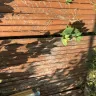 Long Island Rail Road [LIRR] - Trees over grown and piles of garbage are pushing my backyard fence over. - Photo 1