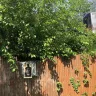 Long Island Rail Road [LIRR] - Trees over grown and piles of garbage are pushing my backyard fence over.