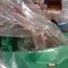 Direct Gardening - Shipment means and condition of plants received. - Photo 4