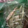 Direct Gardening - Shipment means and condition of plants received. - Photo 3