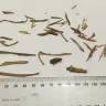 Imperial Tobacco Australia - jps abundant gold tobacco - Photo 1