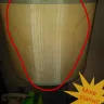 Hotels.com - Refunding for a reservation that was prepaid - Photo 43