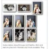 Hoobly - Puppy purchase - Photo 1