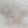 Fleetwood Homes - Employee issues - Photo 1