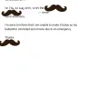 Premier Dead Sea - Rude email received - Photo 1
