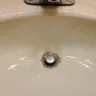 Westgate Resorts - Disgusting Accommodations - Photo 4