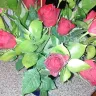 NetFlorist - Dead Roses and Wrong gift - Photo 2