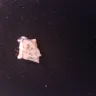 Imperial Tobacco Australia - 50 gram white ox tobacco - Photo 1