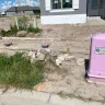 M / I Homes - Building of new home disaster - Photo 3