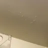 NYC Housing Authority [NYCHA] - Constant water damaged ceilings