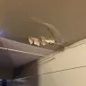 NYC Housing Authority [NYCHA] - Constant water damaged ceilings