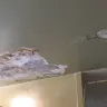 NYC Housing Authority [NYCHA] - Constant water damaged ceilings