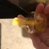 Air Wick - Scented plugins - Photo 3