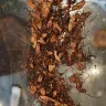 Imperial Tobacco Australia - White ox 50g and 25g tobacco