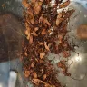 Imperial Tobacco Australia - White ox 50g and 25g tobacco - Photo 1