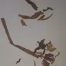 Altria Group - Product - Photo 3