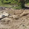Florida Power & Light [FPL] - Damage caused during power line installation - Photo 3