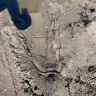 Florida Power & Light [FPL] - Damage caused during power line installation - Photo 5