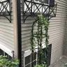 Robin McClain & Patricia McClain (Gallery Condominiums; Kirkland, WA) - Creepy security camera installation (2nd incident) - Photo 2