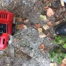 Leroy Merlin - Smash strimmer engine seized - Photo 5