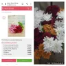 NetFlorist - Partial order ship?!