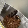 Imperial Tobacco Australia - jps endless blue tobacco - Photo 1