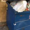 Republic Services - Trash bin cause sanitary health issue