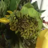 JustFlowers.com - Flowers & delivery - Photo 3