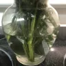 JustFlowers.com - Flowers & delivery - Photo 2