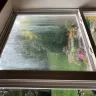 PulteGroup - Windows & mold - Photo 4