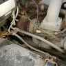 Penske Truck Rental - Truck purchase - Photo 3