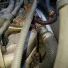 Penske Truck Rental - Truck purchase - Photo 2
