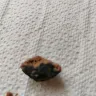 Cadbury - Unsatisfactory chocolate bar - Photo 1
