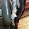 Opel Automobile - Sudden airbag deployment - Photo 4