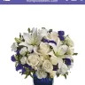 FromYouFlowers.com - I was shamed by this company who delivered a wilted small bouquet to an important person on a very special occasion