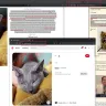 MarthasBlueKittens.com - Russian blue cattery website with stolen images and copied reviews - Photo 1