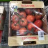Costco - Product - Photo 1