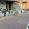 Ahmedabad Municipal Corporation [AMC] - Street dogs catcher