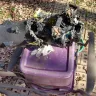 Ryobi Tools - Defective leaf blower