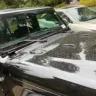 AutoTrader - Davis Stanley didge/jeep, Tony Reasner general manager - Photo 3
