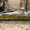 Baja Fresh - Baja burritos - Photo 2