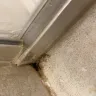 D.R. Horton - Mold in master bathroom shower - Photo 1