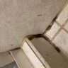 D.R. Horton - Mold in master bathroom shower - Photo 2
