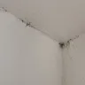 Leland Management - Was not ready to move inn - Photo 7