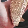 Shoprite Checkers - Crumbed chicken - Photo 3