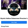 Mystic Hallow Dobermans by Libby D. Jones in Glasgow Kentucky - Doberman breeder/fraud