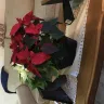 Bloomex - Product ordered was not what was received - Photo 4